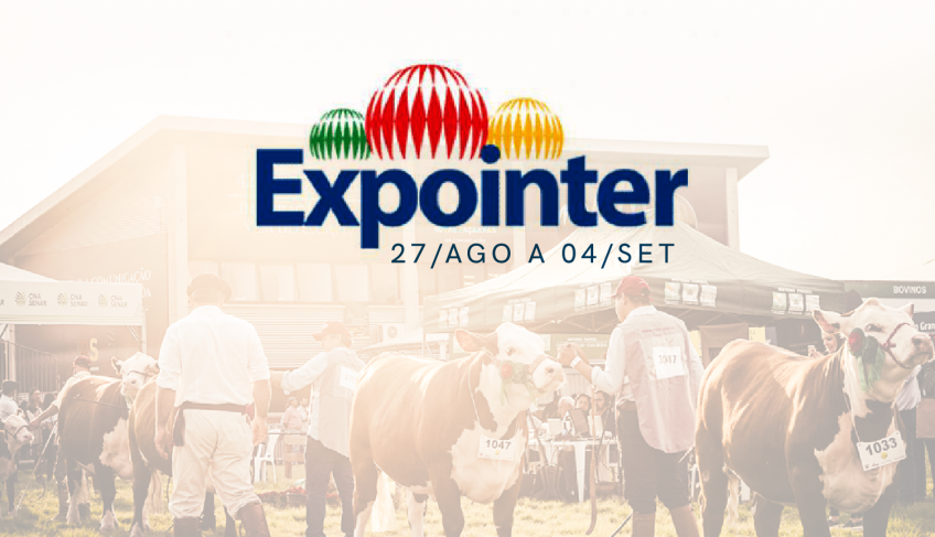 ASN Rio Grande do Sul - Agência Sebrae de Notícias