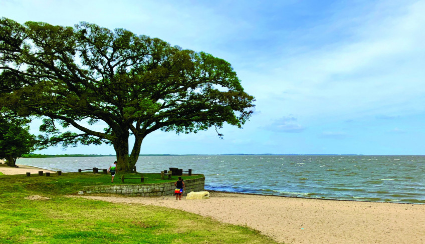 ASN Rio Grande do Sul - Agência Sebrae de Notícias