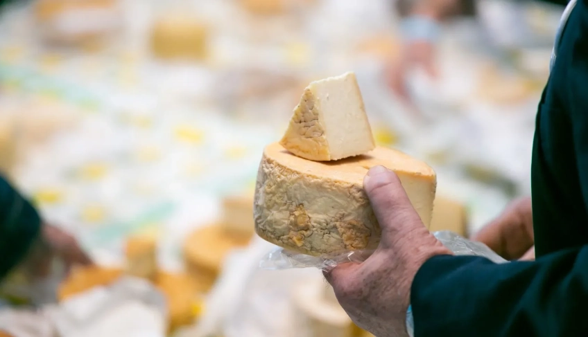 ASN Rio Grande do Sul - Agência Sebrae de Notícias