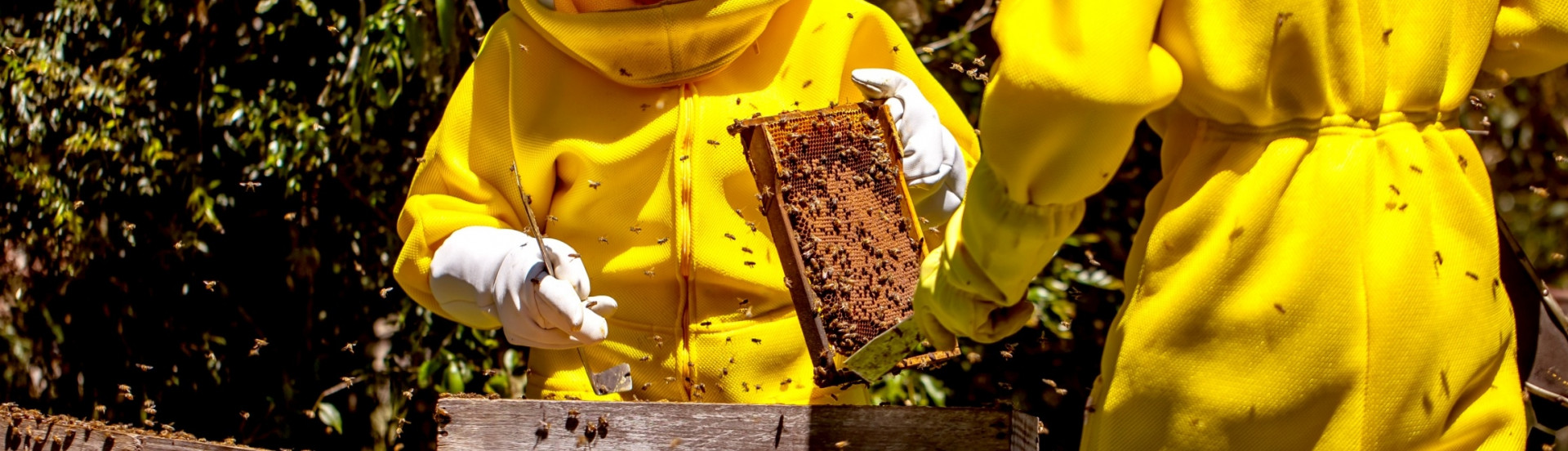 ASN Rio Grande do Sul - Agência Sebrae de Notícias