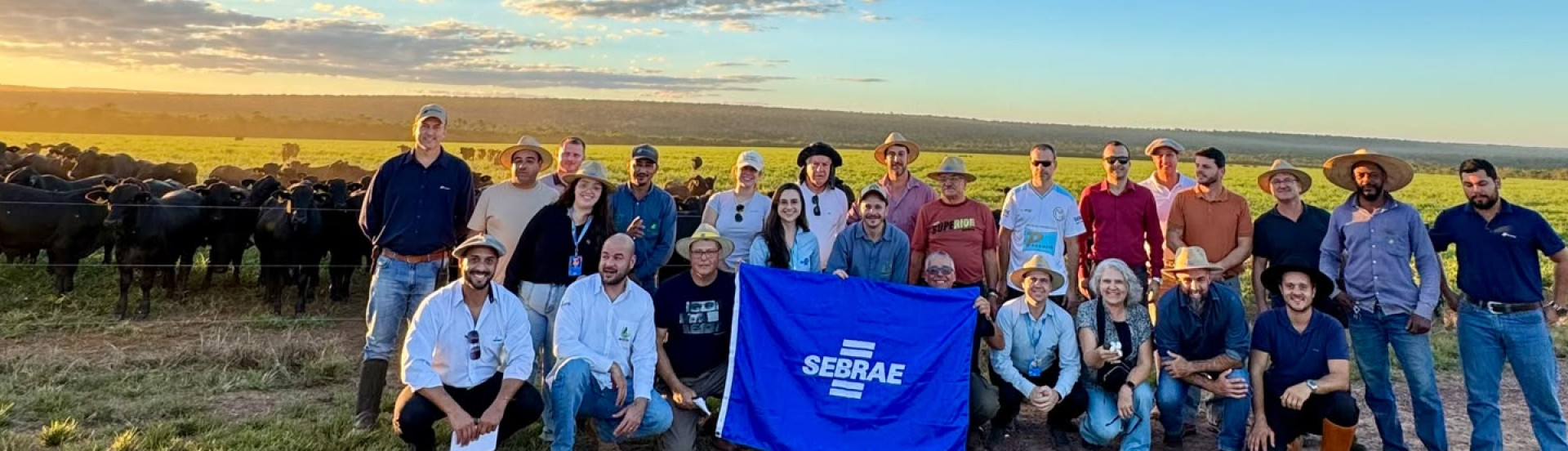 ASN Rio Grande do Sul - Agência Sebrae de Notícias