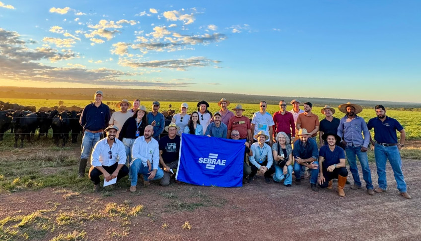 ASN Rio Grande do Sul - Agência Sebrae de Notícias