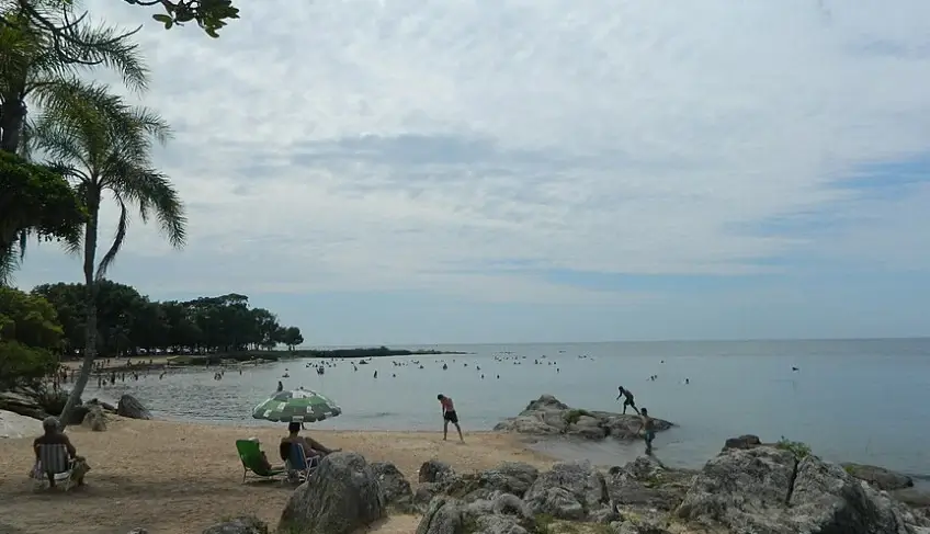 ASN Rio Grande do Sul - Agência Sebrae de Notícias